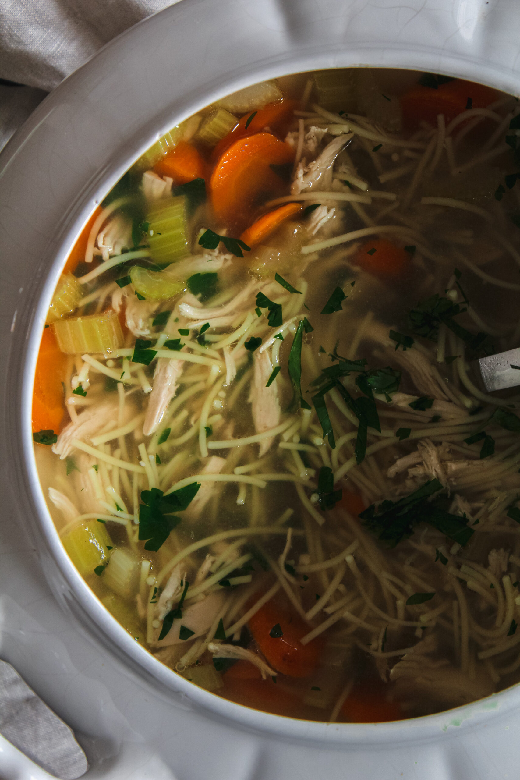 picture of chicken noodle soup